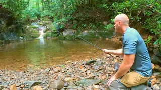 Tiny Stream Fishing & Foraging for Trout, Crawfish & Mushrooms!