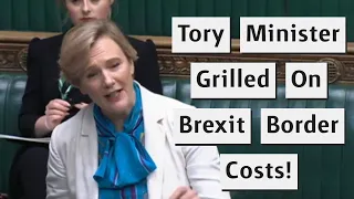 Stella Creasy Grills Tory Minister On New Brexit Checks And Costs!