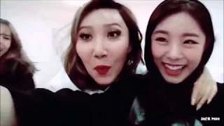 Mamamoo ( 마마무 ) being Mamamoo