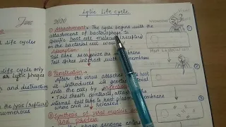 Lytic cycle