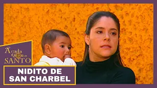 Nidito de San Charbel | A Cada Quien Su Santo