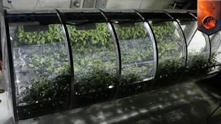 Mars exploration: NASA develops lunar greenhouse to grow vegetables on the Moon and Mars - TomoNews