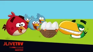 Angry Birds Presents: Summer Pignic (2011) (featuring Angry Birds Toons) | JLiveTRV
