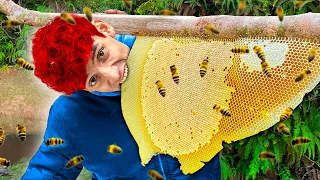 ?Creating Honey with My Dangerous Pet Bees?