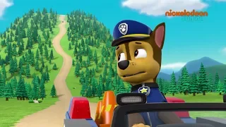 Paw Patrol : la Pat'Patrouille | A toute allure | NICKELODEON JUNIOR