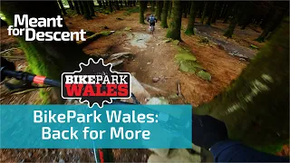 Bike Park Wales | Red, Blue & Green Grade MTB trails