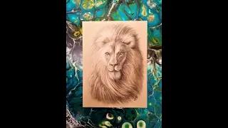 'Lion' - Time-lapse Charcoal Drawing