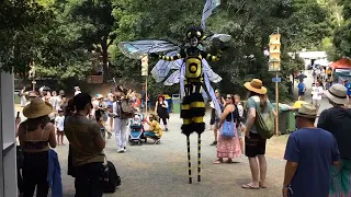 Stilt Bees  -  Short Promo of Sydney based stilt walkers