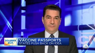 Former FDA chief Scott Gottlieb on merits, concerns of vaccine passports