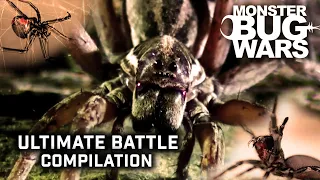 The Ultimate Battle Compilation  | Monster Bugs Wars