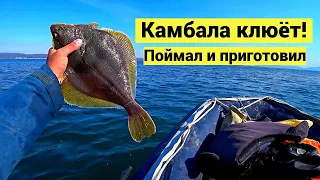 Камбала клюёт! Поймал и приготовил // СУБТИТРЫ