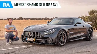 Mercedes-AMG GT R (585 cv). Que ABUSO de carro!