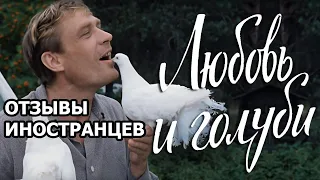 «Любовь и голуби»: посмотрите, что пишут иностранцы о нашем самом народном фильме