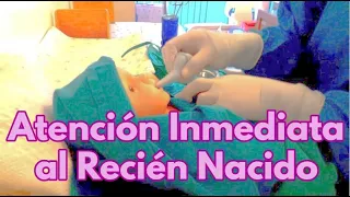 ATENCIÓN INICIAL DEL RECIÉN NACIDO👌👩‍⚕️ #procedimiento #enfermeria #atencioninalreciennacido