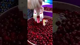 How to remove Cherry 🍒 Seeds