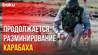 ANAMA Опубликовало Отчёт о Проведённых Операциях | Baku TV | RU