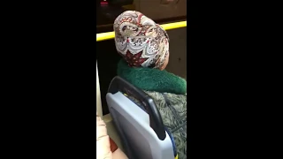 Бабка тралит в трамвае 3 | Фашисты