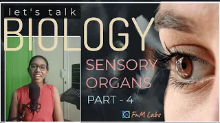 Sense Organs - Eye - Part 4 (based on Class 10 )