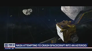 NASA spacecraft successfully collides into asteroid | FOX 13 Seattle