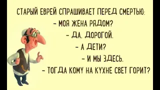 Приколы с животными  Ржака до слёз  Юмор  Короткие приколы 2023 ЗАСМЕЯЛСЯ ПОДПИСАЛСЯ