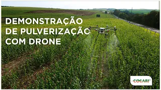 Demonstração de pulverização com drone