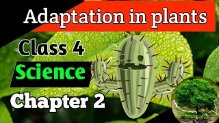 Class 4 Science Chapter 2 Adaptation in plants| Adaptation in plant hindi and english|Plants habitat