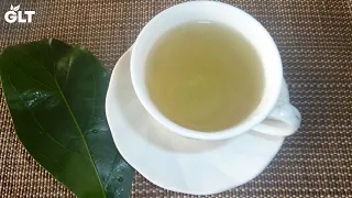 Health Benefits & Uses Of Avocado Leaf Tea