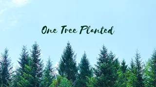 One Tree Planted (Effective Altruism) - ProMex Group