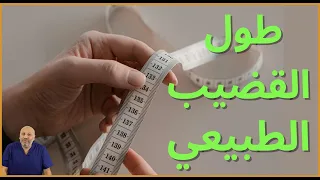 الحلقة (١٧ ) الحجم  أو الطول الطبيعي للعضو الذكري