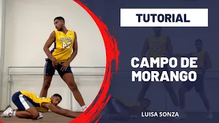 Campo de Morango - Luísa Sonza | Tutorial coreografia