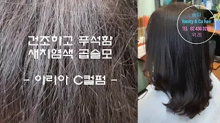 건조하고 푸석한 곱슬머리 안전하게 매직 + C컬펌하기