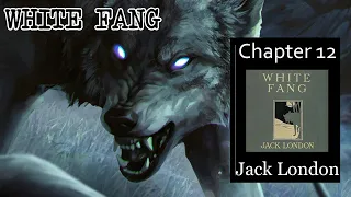 White Fang - Ch 12 |🎧 Audiobook with Scrolling Text 📖| Ion VideoBook