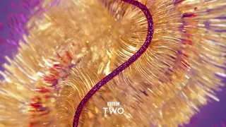 BBC Two Ident | Festive (Clean) |  Christmas 2019