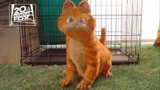 Garfield | "Odie Steals the Show" Clip | Fox Family Entertainment