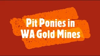 Underground Horses in Western Australian Mines