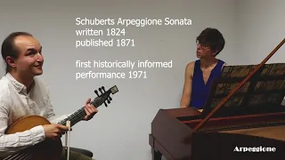 How to play Schubert's Sonata on an original Arpeggione