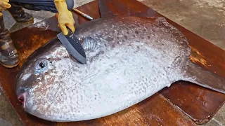 Amazing！Giant Sunfish Cutting Skills, Sunfish Catching, Sunfish Jelly/驚奇的漫波魚切割技巧,翻車魚捕捉,燙漫波魚腸-佳濱成功旗魚