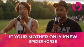 They won with this routine  - Spiderhorse - Worldchampions