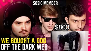 RADAL REACTS TO WE BOUGHT A DOG OFF THE DARK WEB (LuxuryDark)