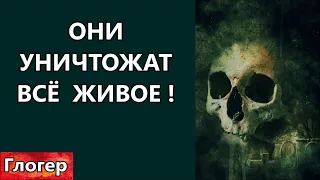 ИНТЕРНЕТ ПО НОВЫМ ЦИФРОВЫМ ! ИЗ АВСТРАЛИИ ГОВОРЯТ ! УНИЧТОЖАТ  ВСЁ  ЖИВОЕ ! ИЗ КОЛОНИИ СТРОГ. РЕЖ. !