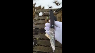 Custom Asymmetric Fixed knife