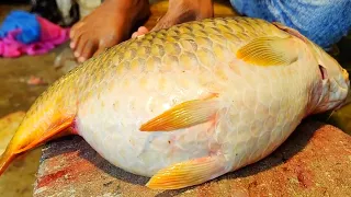 Amazing Huge Golden Carp Fish Fish Cutting Skills Live In Fish Market With Huge Delicious😋 Eggs