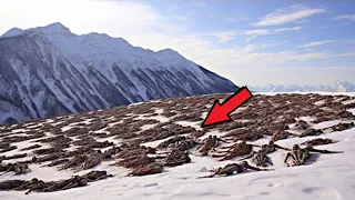 Climbers couldn't stop screaming when they discovered THIS high in the mountains!