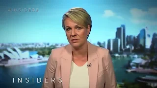 Labor’s Tanya Plibersek says political donation laws need reform | Insiders