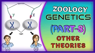 ZOOLOGY GENETICS (PART-8)//12th CLASS// +2 SCIENCE// NCERT// CBSE// CHSE// NEET // OUAT// AIIMS