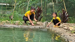 Create Pond Drainage Ditches / Plant Vegetables And Flowers On The Pond Banks_Farm Construction.