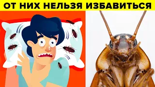 Ученые объяснили, почему мы не можем избавиться от тараканов