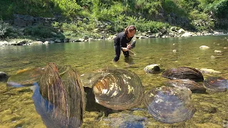 The clams that survive in the mountains and rivers have nurtured countless charming pearls