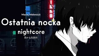 Maciej Maleńczuk - Ostatnia nocka - nightcore