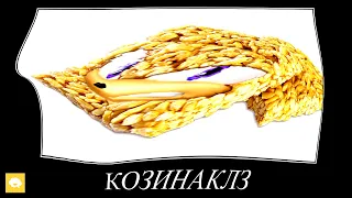 Соник + ШИЗА =